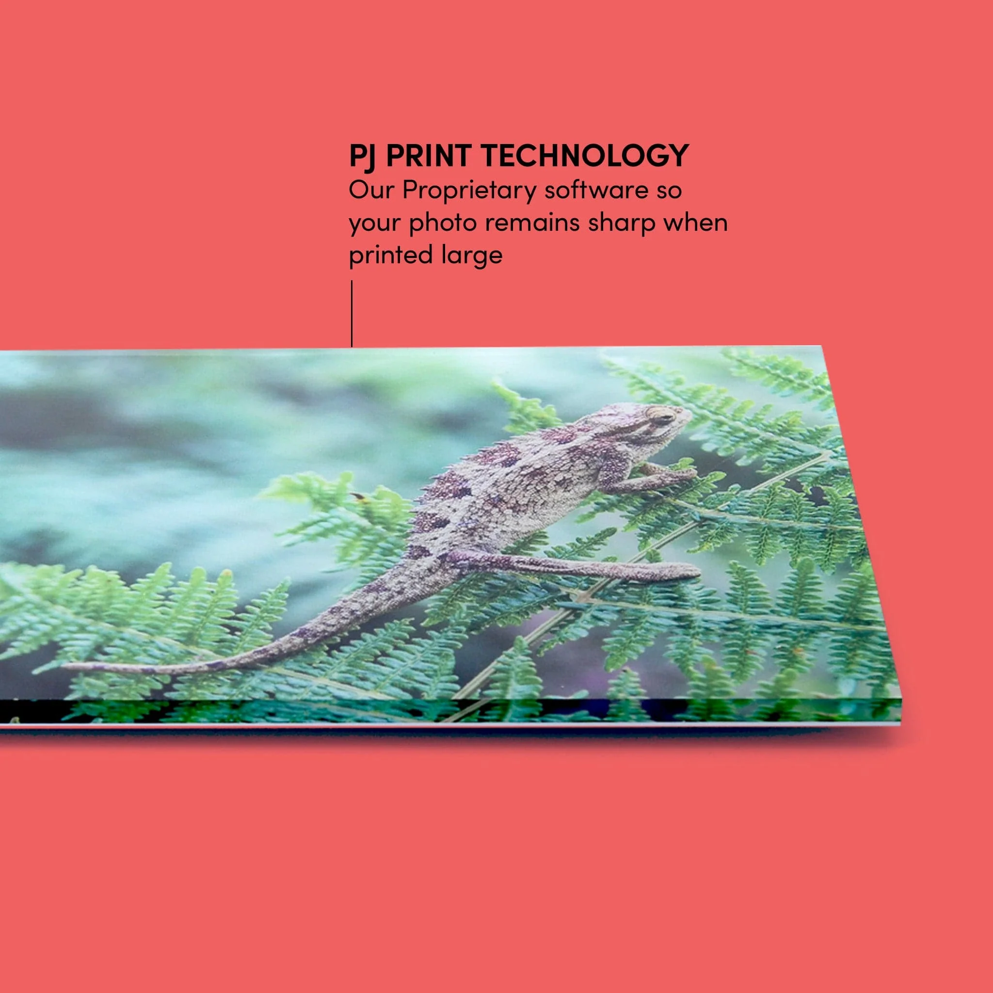 Acrylic Prints - Image 3