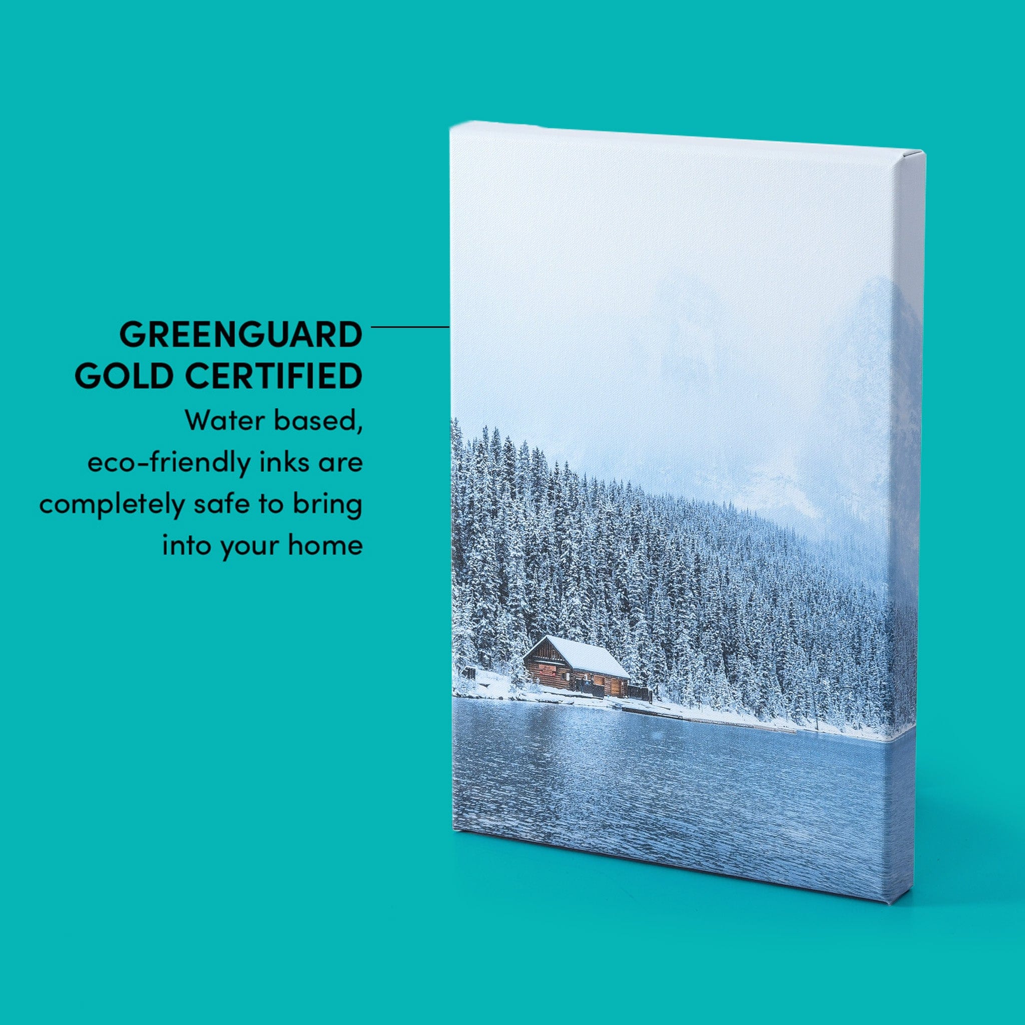 Canvas Prints - Image 3