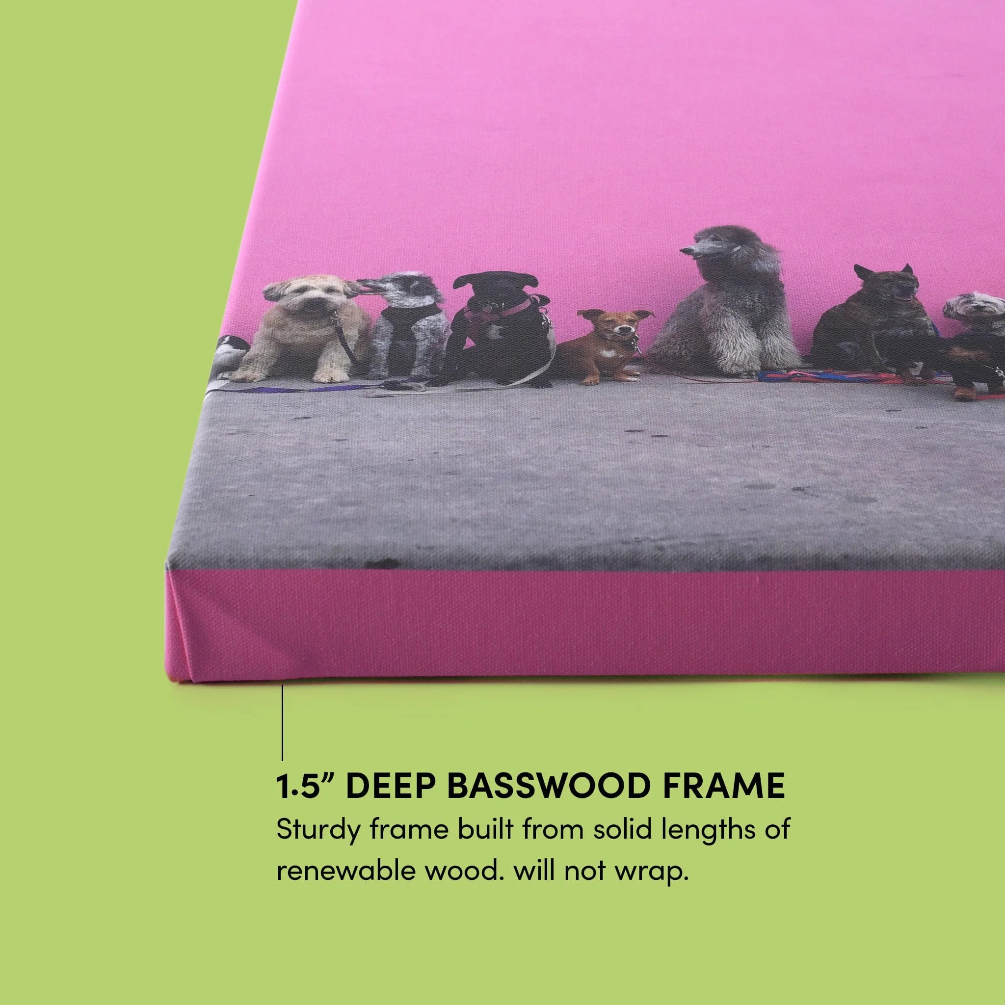 Canvas Prints - Image 33