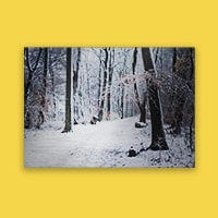 Metal Prints - Brushed Silver - Image 11