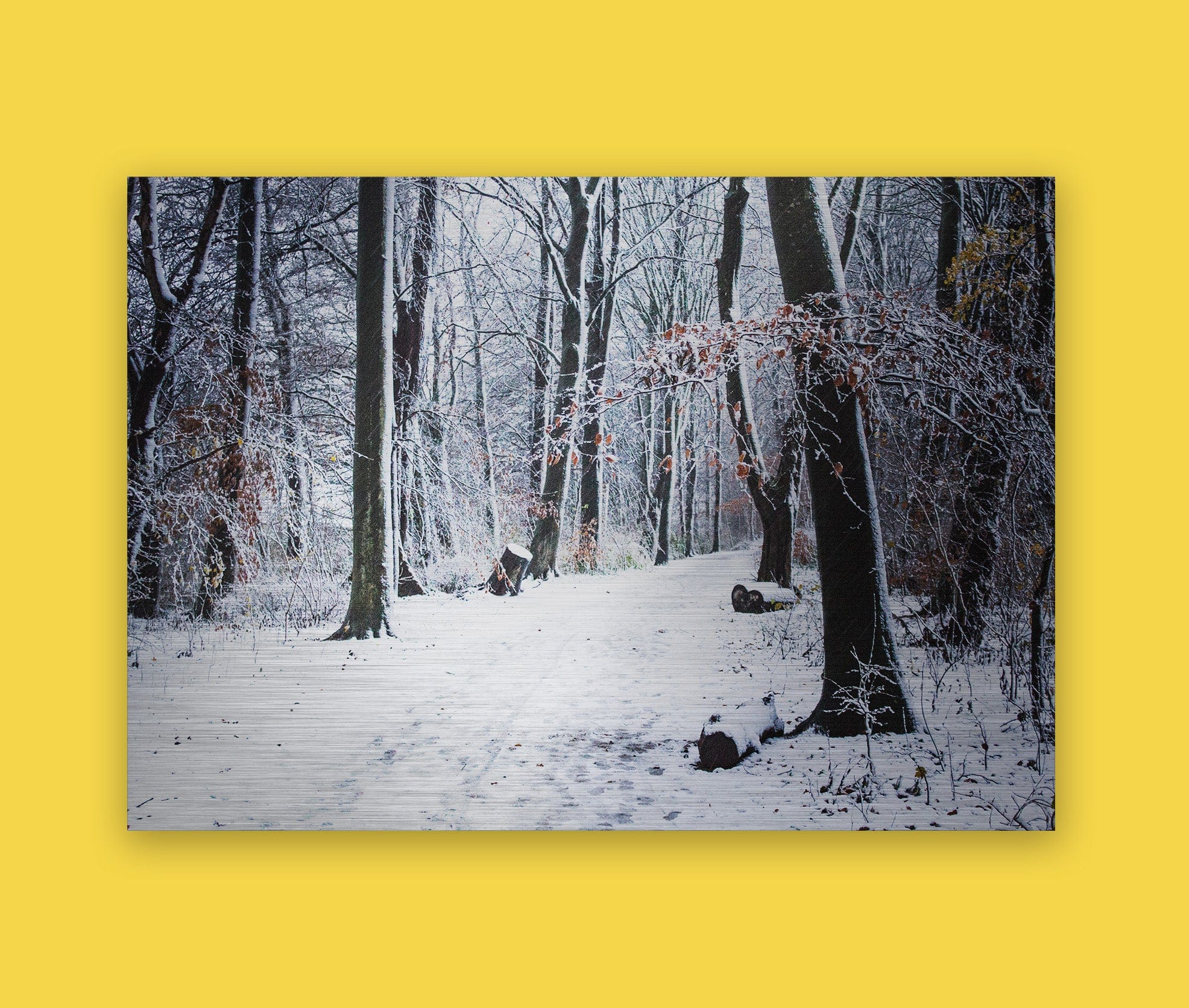 Metal Prints - Brushed Silver - Image 12