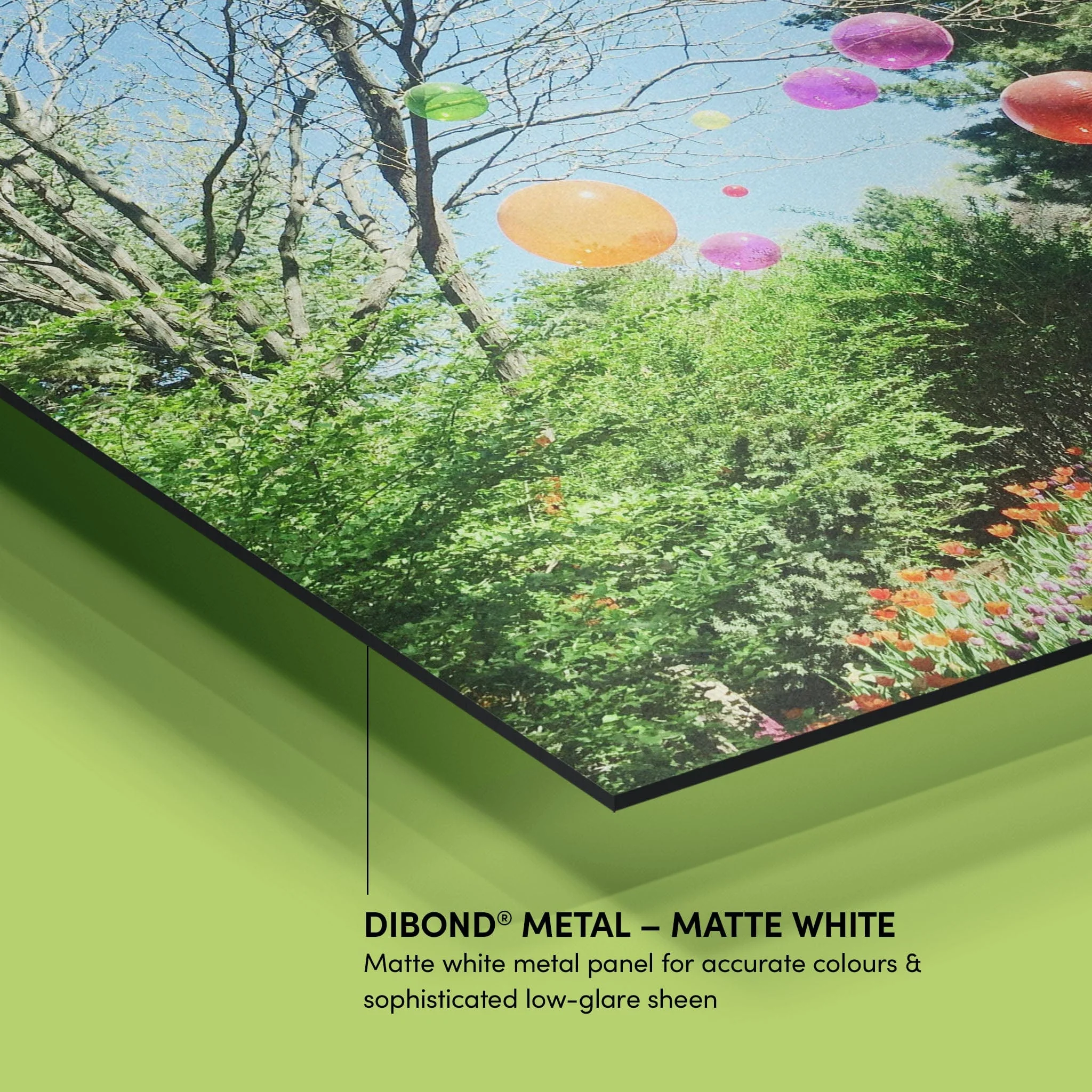 Matte Metal Prints - Image 4