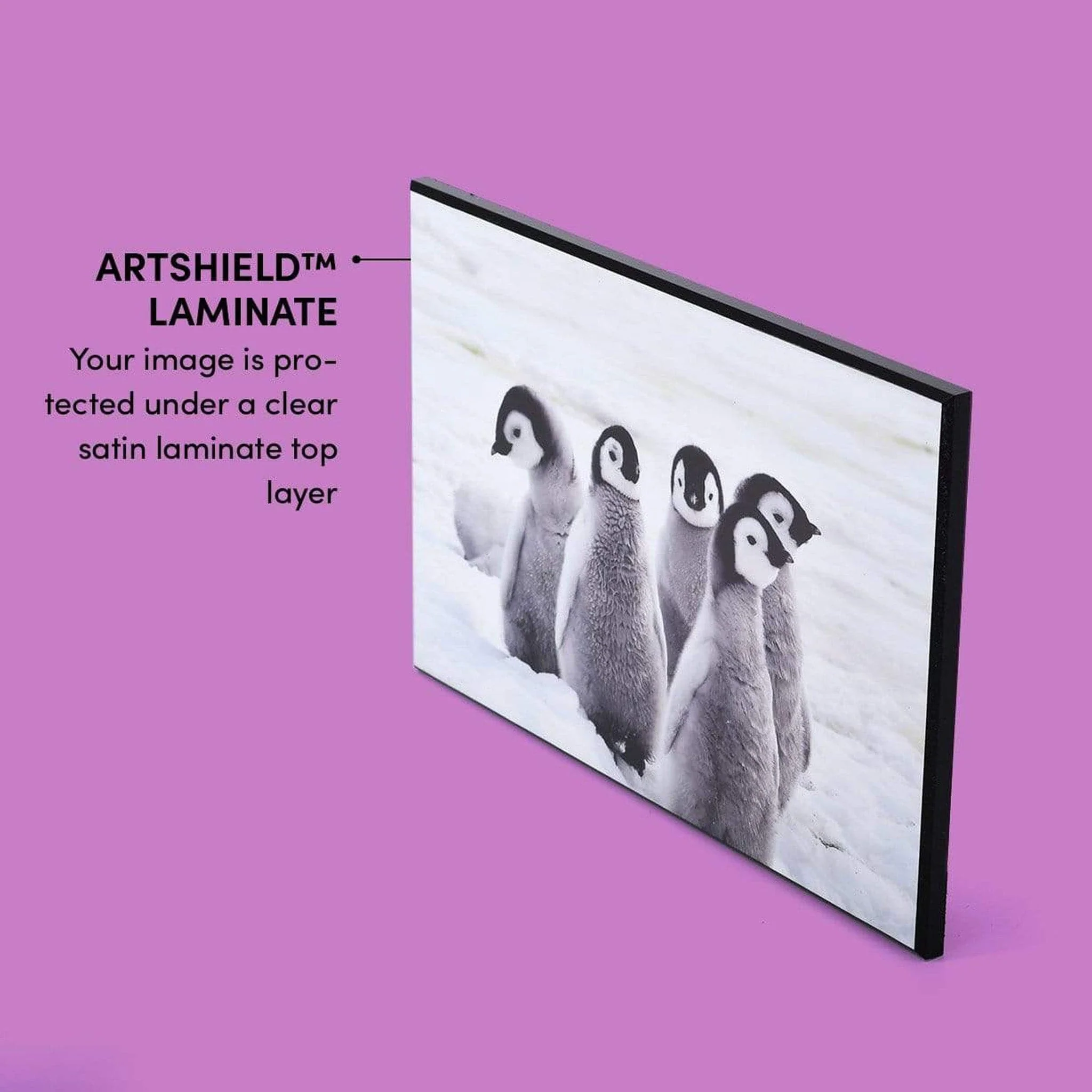 Frameless Mounting - Image 4