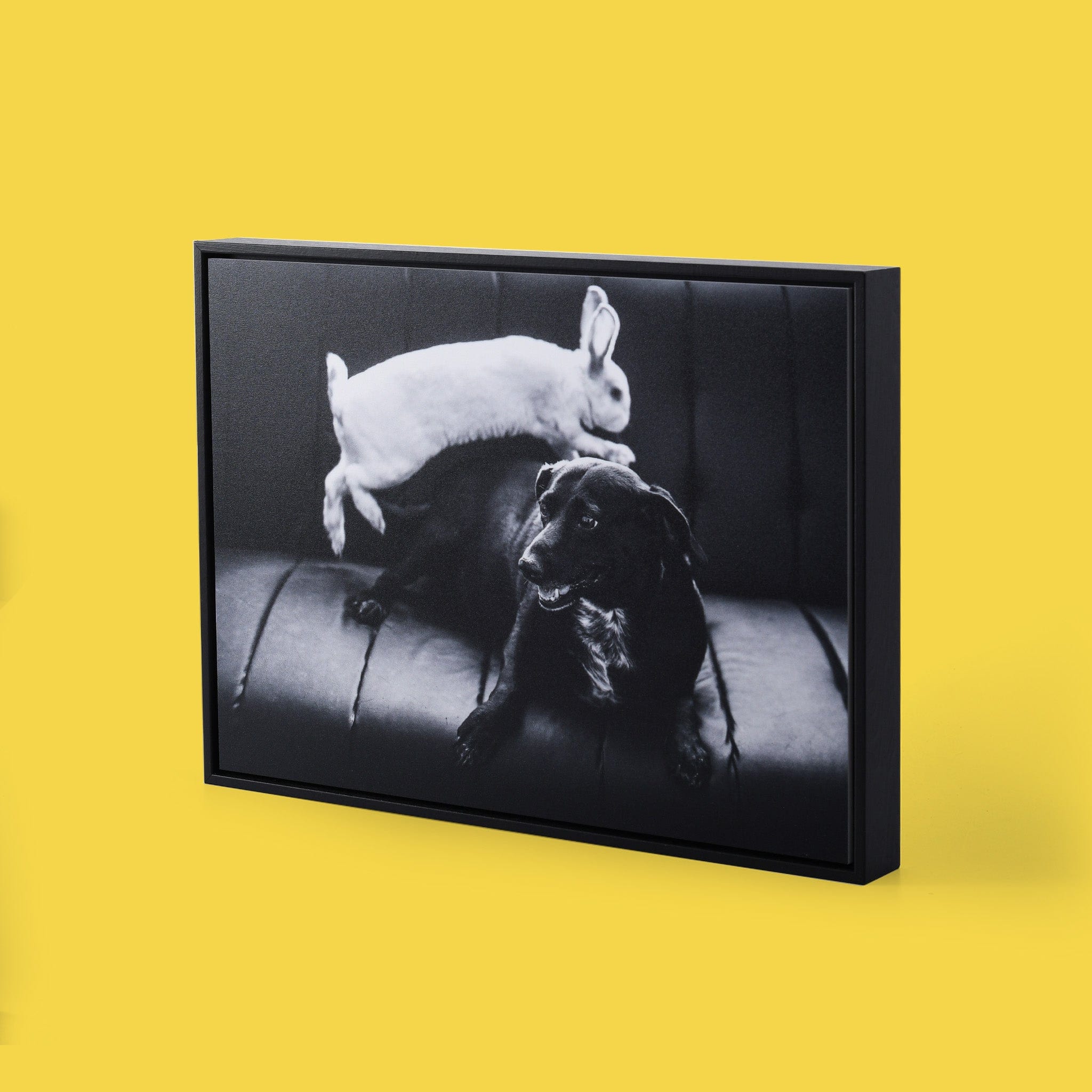 Gallery Box - Image 5