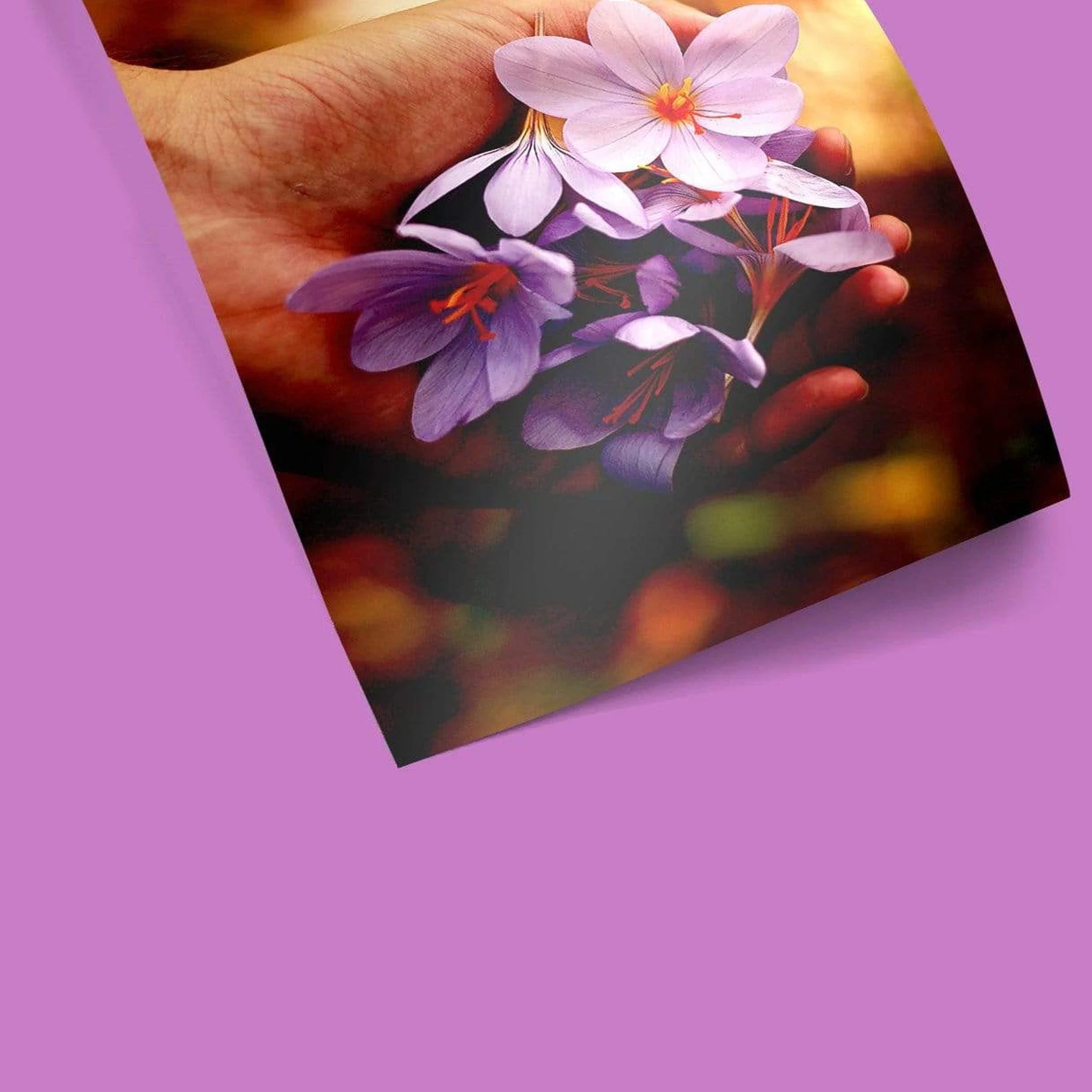 Glossy Photo Paper - Image 4