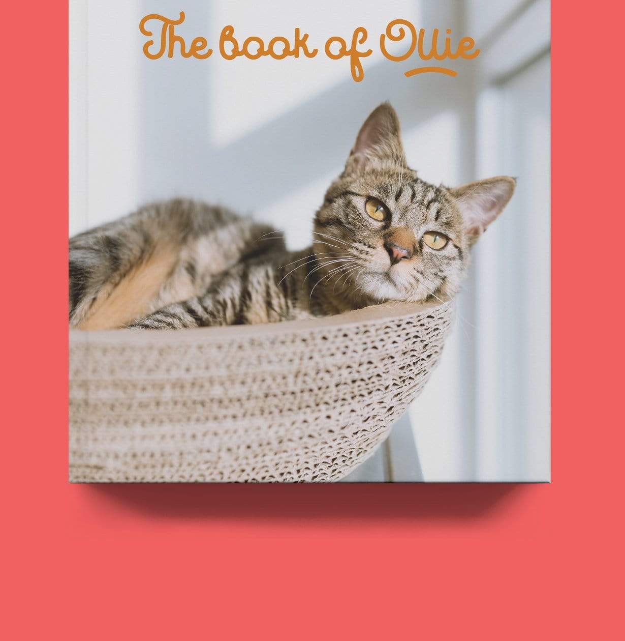 Hardcover Photo Books - Image 6