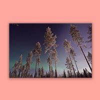 HD Metal Prints - Image 10