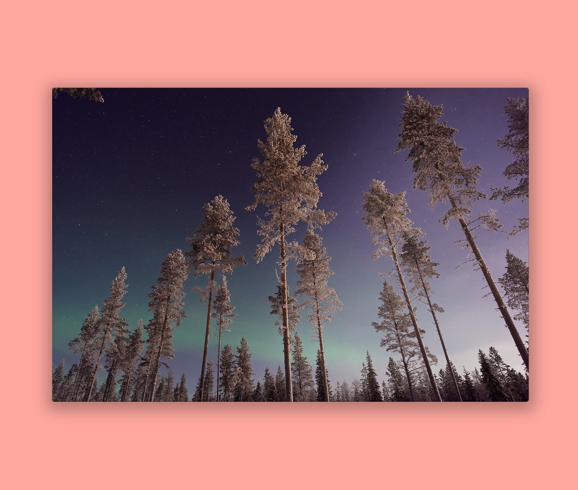 HD Metal Prints - Image 9