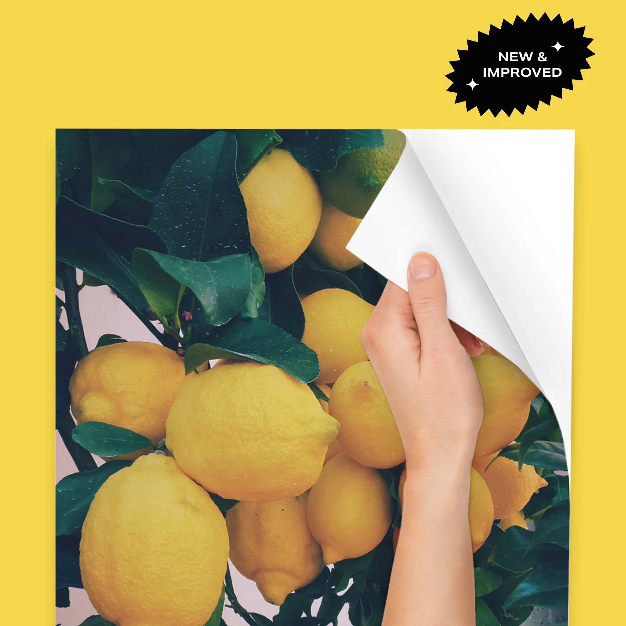 Peel & Stick - Image 24