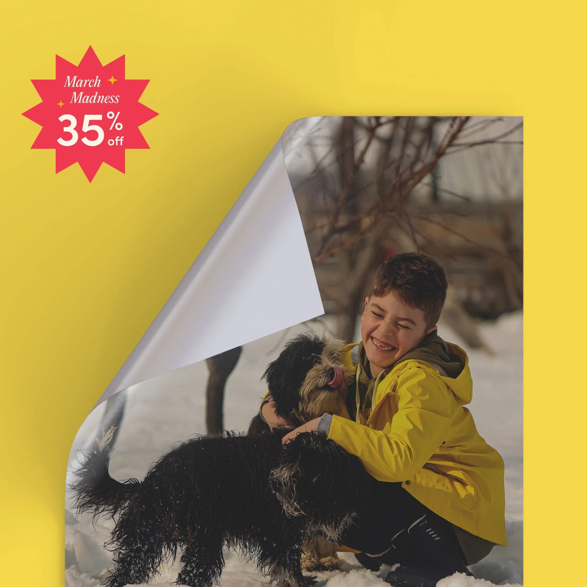 Peel & Stick - Image 25