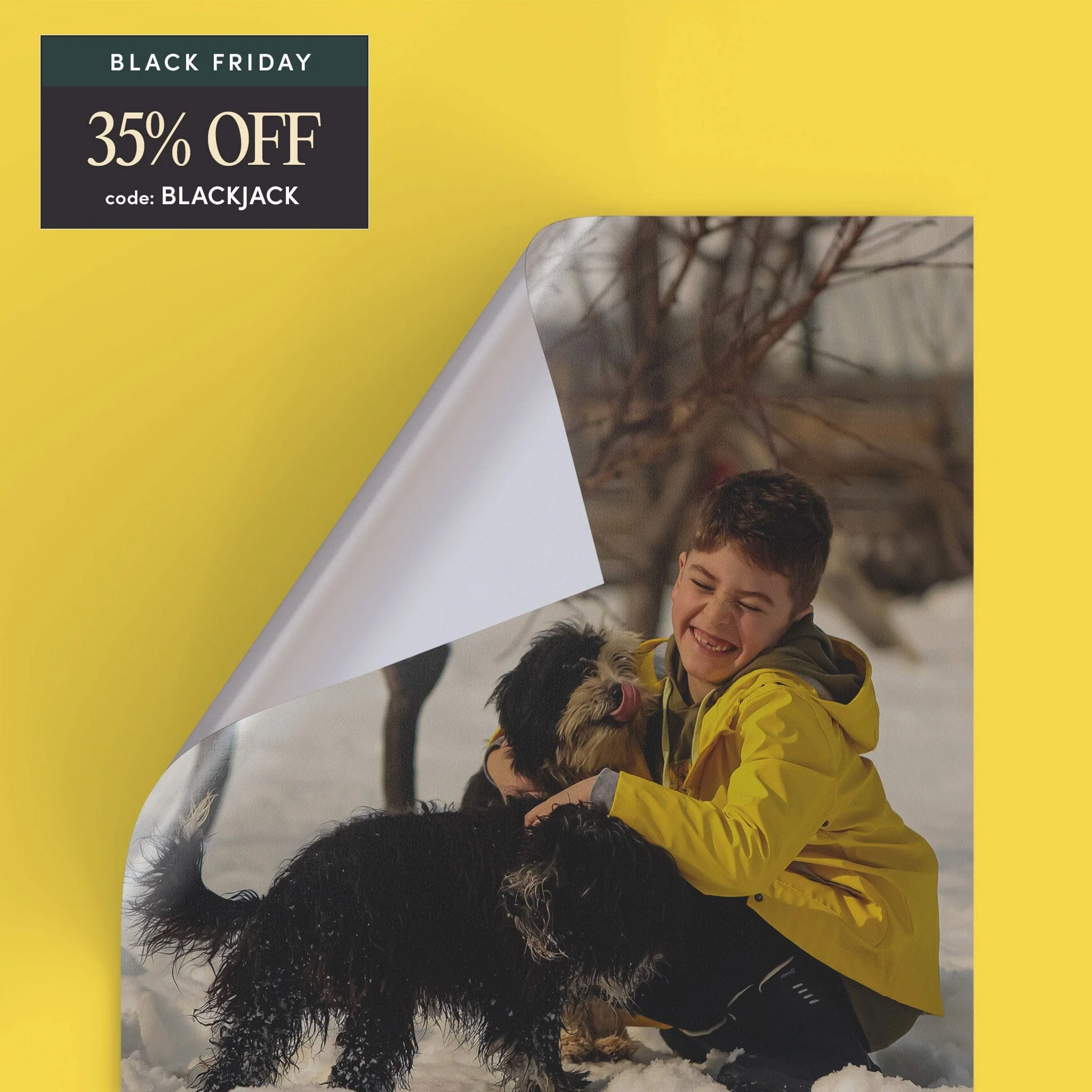 Peel & Stick - Image 26