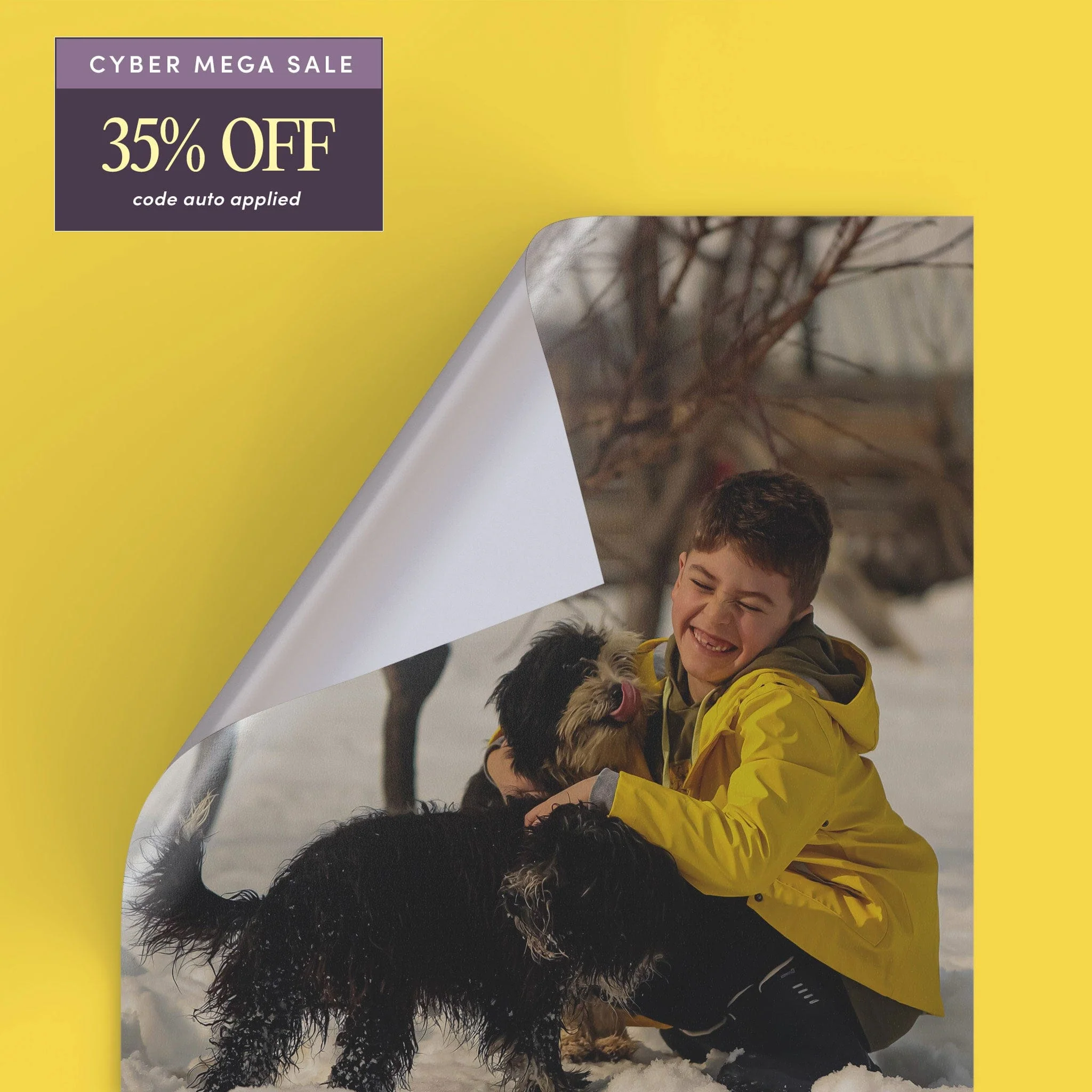 Peel & Stick - Image 27