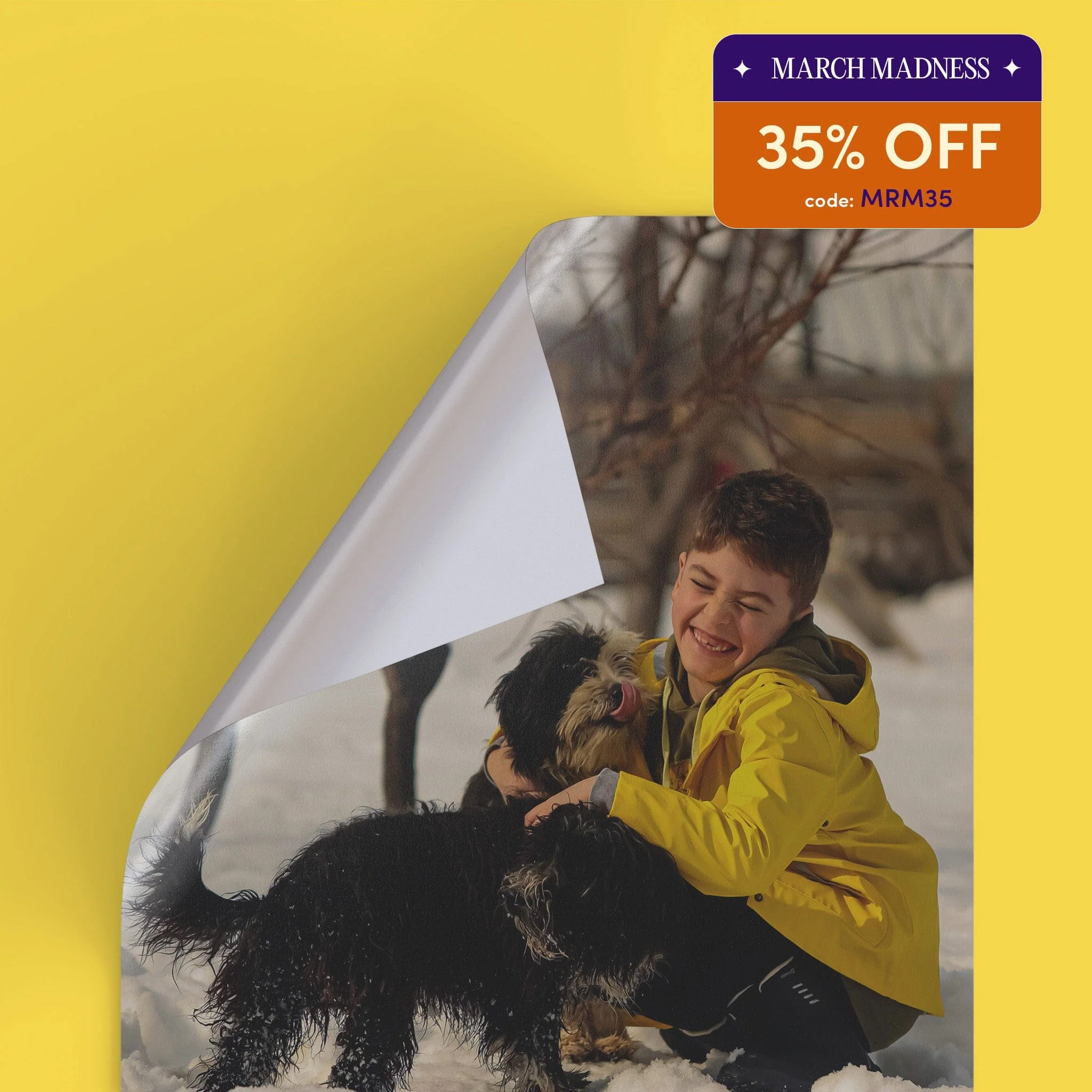 Peel & Stick - Image 28