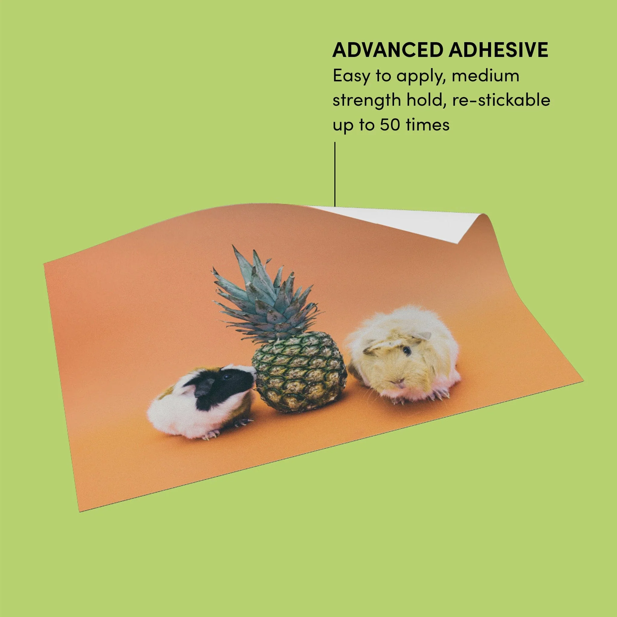 Peel & Stick - Image 4