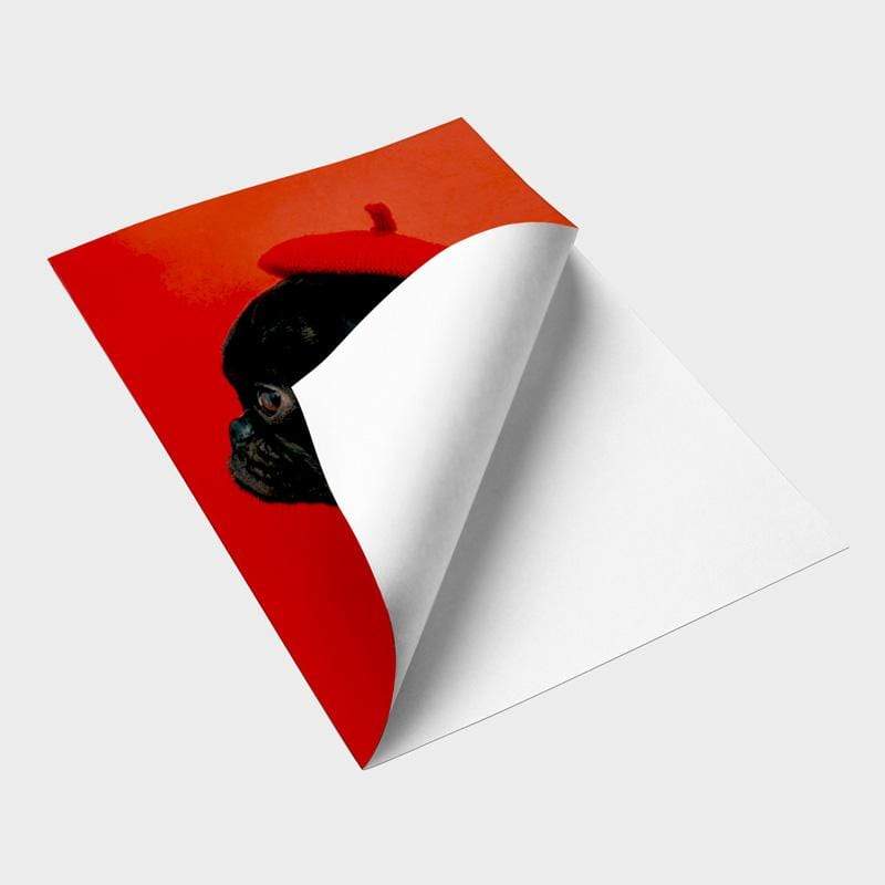 Peel & Stick - Image 6