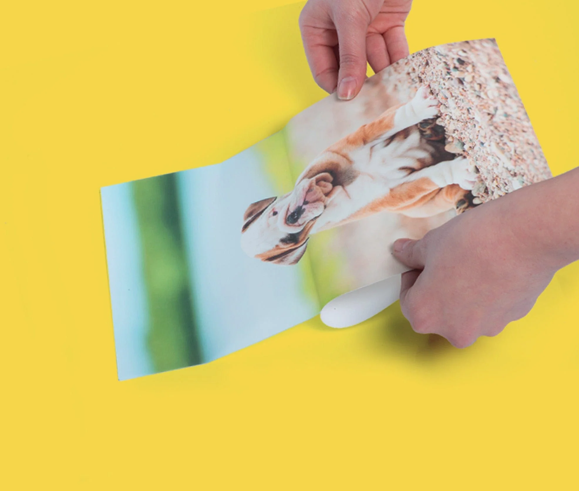 Peel & Stick - Image 9